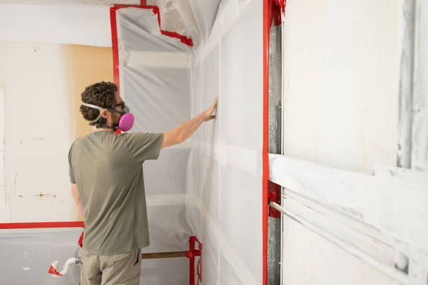 Best Mold Removal for HVAC Installations  in Canutillo, TX